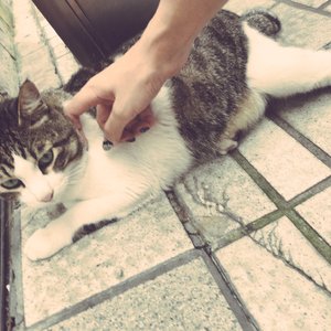 日本女人自慰动态图片
